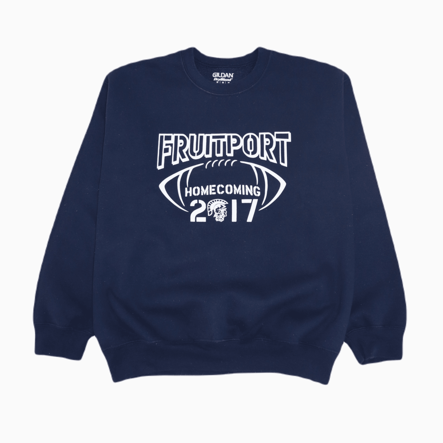 Gildan Fruitport CAGE THE CATS Sweater - Alleycat Stardust