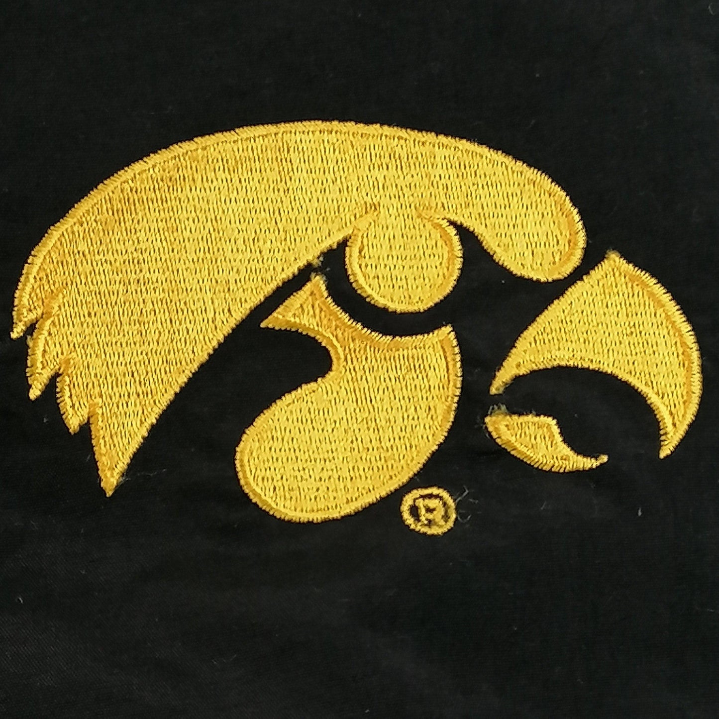 Vintage Starter IOWA Jumper - Alleycat Stardust