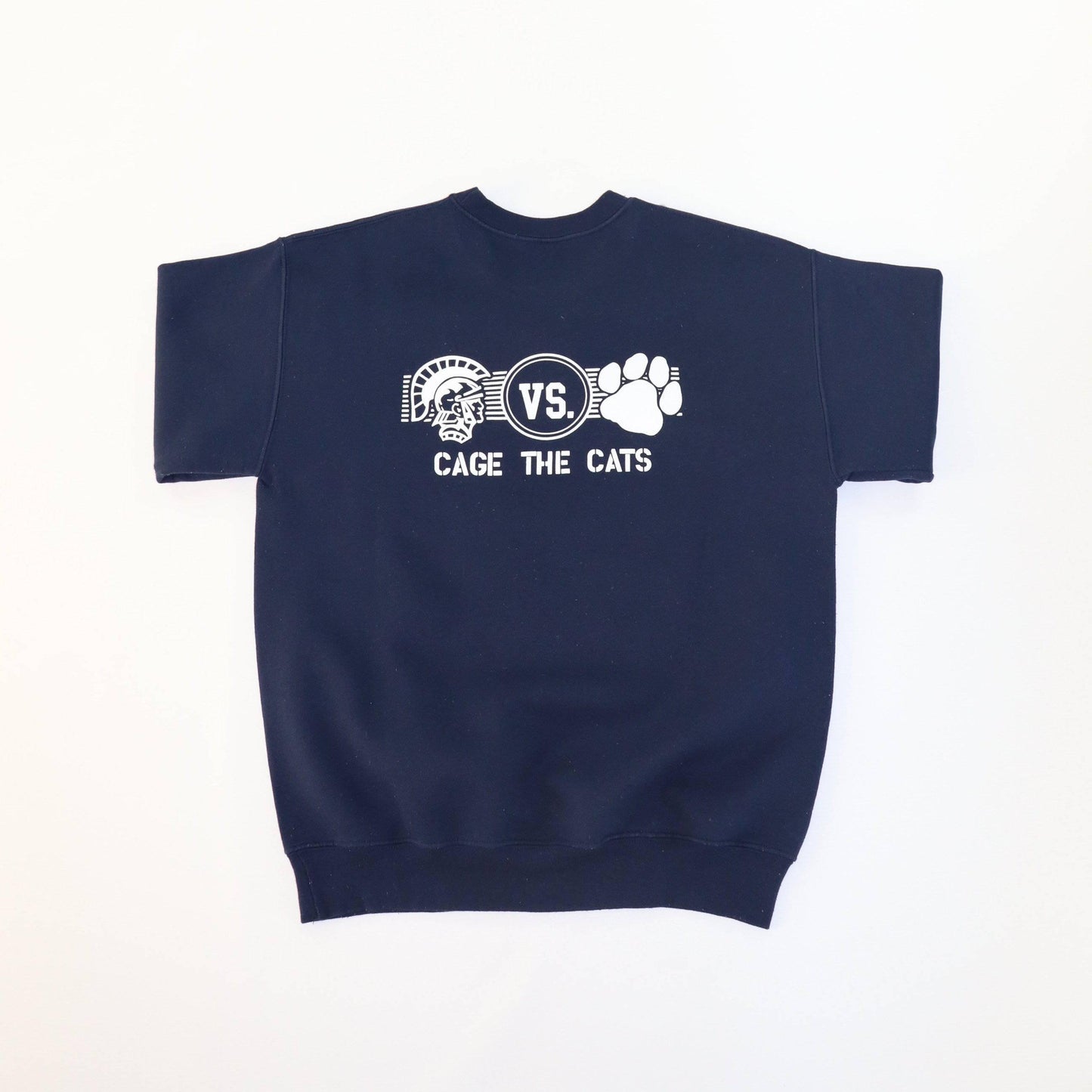 Gildan Fruitport CAGE THE CATS Sweater - Alleycat Stardust