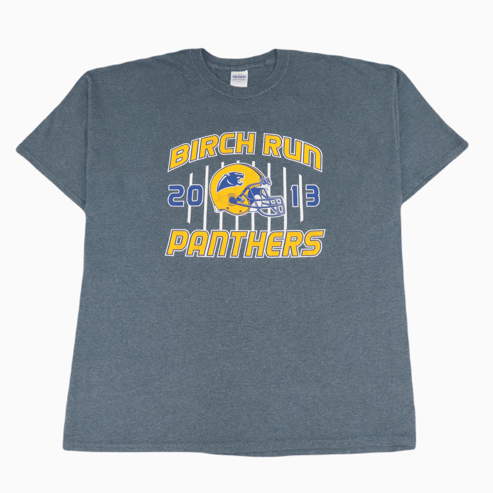 Gildan Birch Run Panthers T-Shirt - Alleycat Stardust