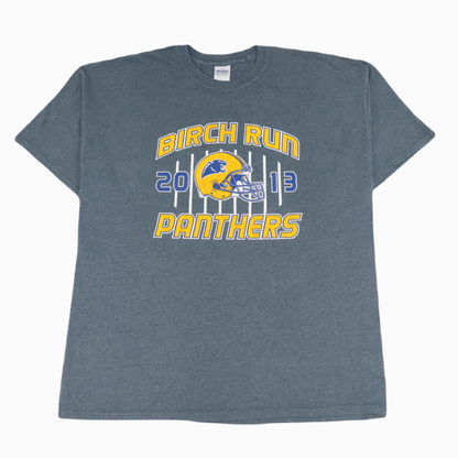 Gildan Birch Run Panthers T-Shirt - Alleycat Stardust