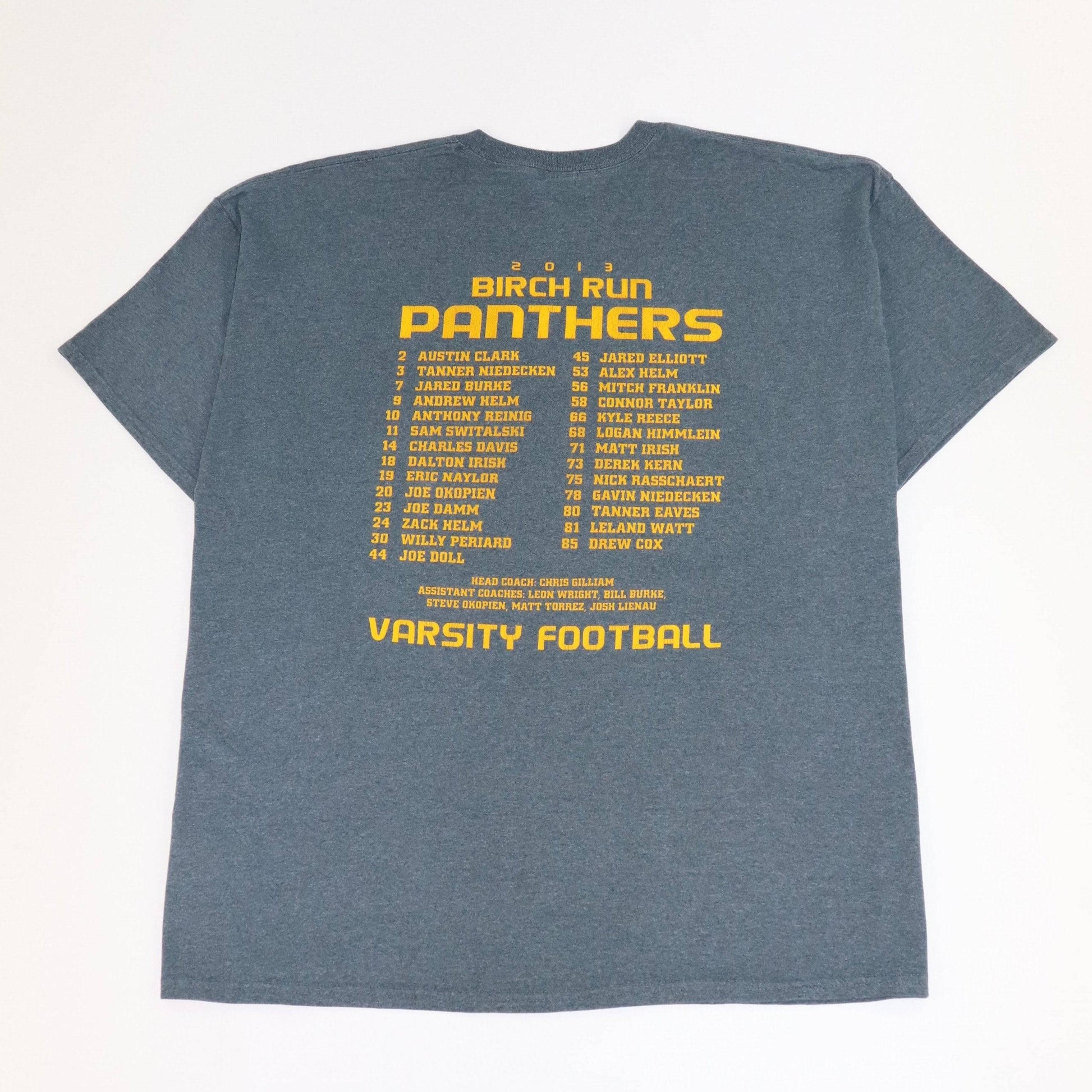 Gildan Birch Run Panthers T-Shirt - Alleycat Stardust