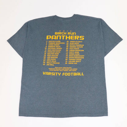 Gildan Birch Run Panthers T-Shirt - Alleycat Stardust