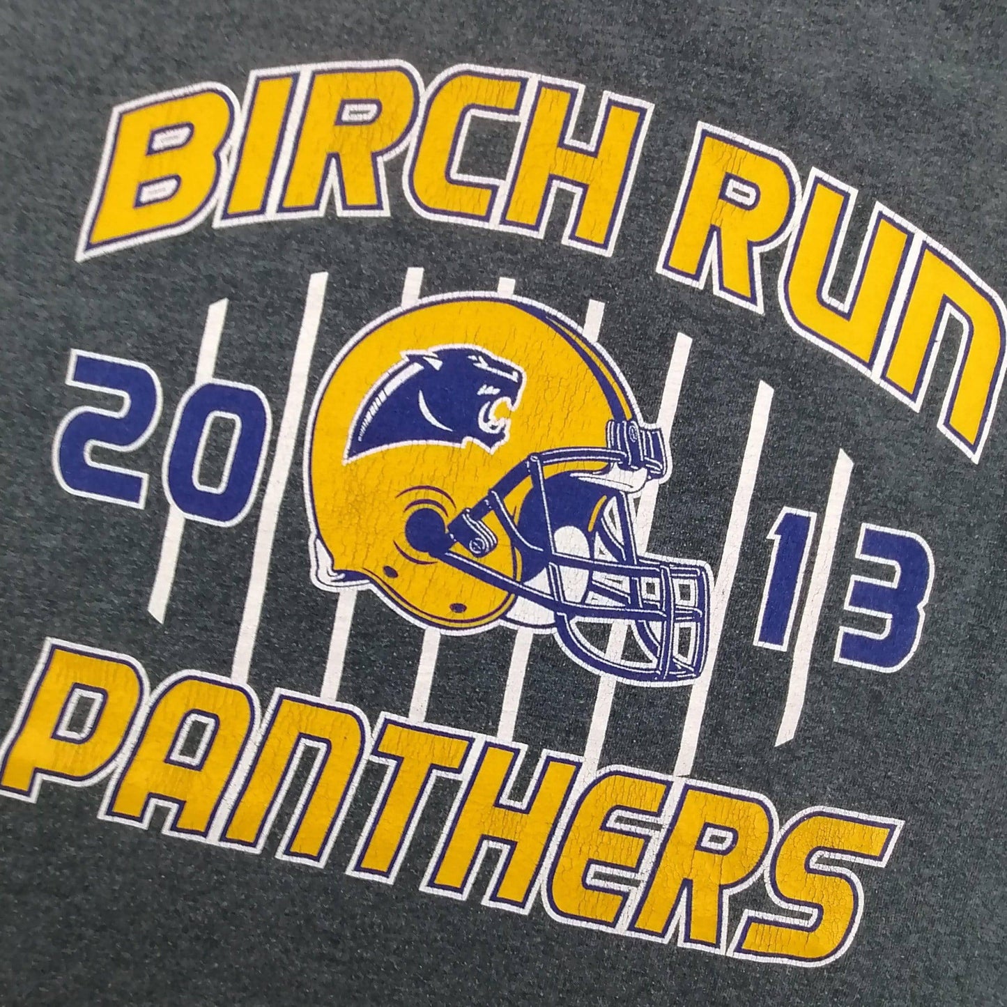 Gildan Birch Run Panthers T-Shirt - Alleycat Stardust