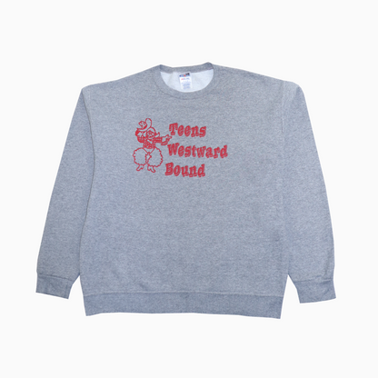 Vintage 90s Jerzees Teens Westward Bound Sweater M
